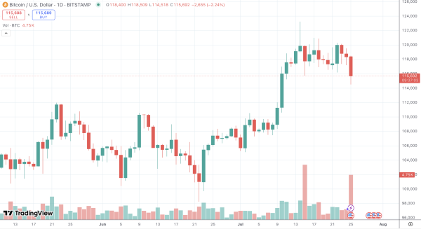 Top Trader: Bitcoin Has Not Bottomed Yet Top Trader: Bitcoin Has Not Bottomed Yet