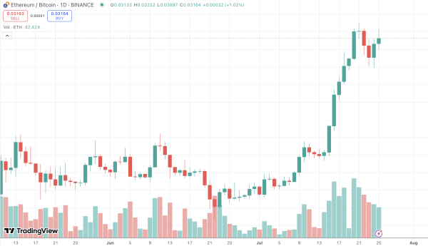 Top Trader: Bitcoin Has Not Bottomed Yet Top Trader: Bitcoin Has Not Bottomed Yet
