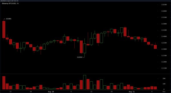 Bitcoin Price Watch: Is $112K the Last Line of Defense?