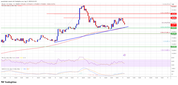 Bitcoin Price Trades Sideways Under $120K&mdash;Will Bulls Regain Control?