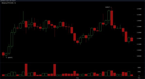 Bitcoin Price Watch: Is $112K the Last Line of Defense?
