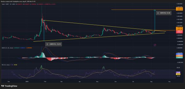 TOSHI and WLD rally amid Binance.US listing, how high can these tokens go?