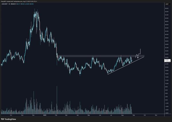 Avalanche vs Solana — Which Layer-1 Altcoin Holds the Edge in Ecosystem Growth This Year? Avalanche vs Solana — Which Layer-1 Altcoin Holds the Edge in Ecosystem Growth This Year?