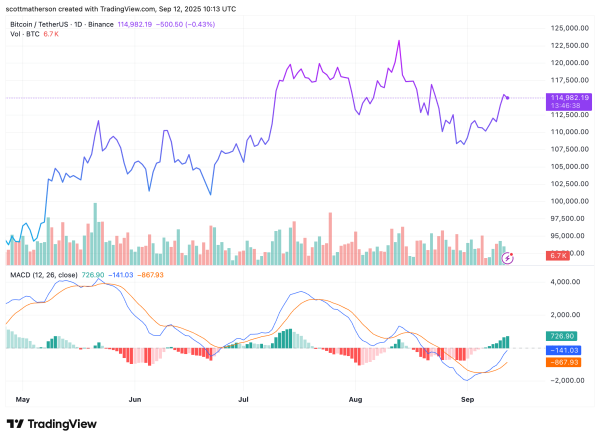 Bitcoin Price Flashes ‘Rarest Signal’ Ever, Is A 100% Rally Possible? Bitcoin Price Flashes ‘Rarest Signal’ Ever, Is A 100% Rally Possible?