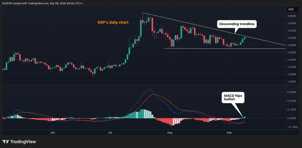 BTC/USD and DOGE/BTC Race Towards Bullish Breakout; XRP MACD Turns Bullish BTC/USD and DOGE/BTC Race Towards Bullish Breakout; XRP MACD Turns Bullish