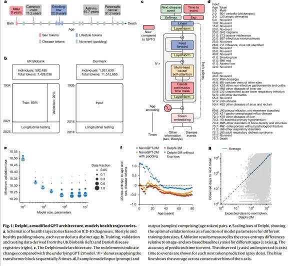 New AI System Predicts Risk of 1,000 Diseases Years in Advance