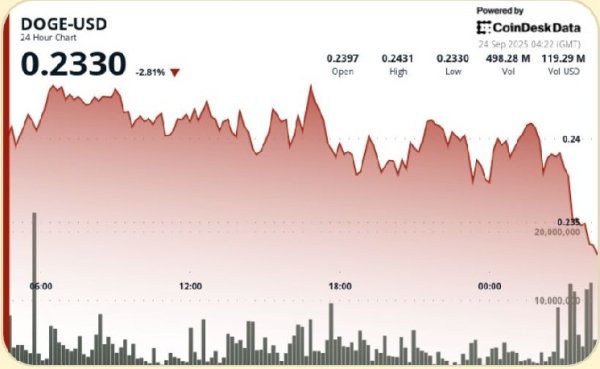 DOGE Holds Firm Above $0.24 Support in Choppy Session DOGE Holds Firm Above $0.24 Support in Choppy Session