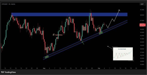 Is HYPE Set for a $50 Breakout? Chart Says Yes