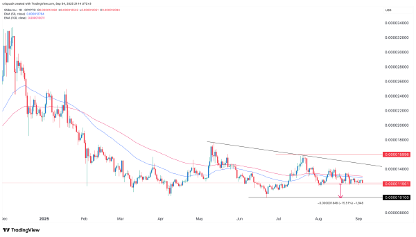 Shiba inu price plunges despite 800% burn rate surge: here’s why Shiba inu price plunges despite 800% burn rate surge: here’s why