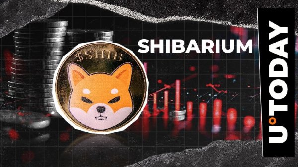 Shiba Inu's Shibarium Debuts Embarrassing Marketing Plan as Community Anger Grows Shiba Inu's Shibarium Debuts Embarrassing Marketing Plan as Community Anger Grows