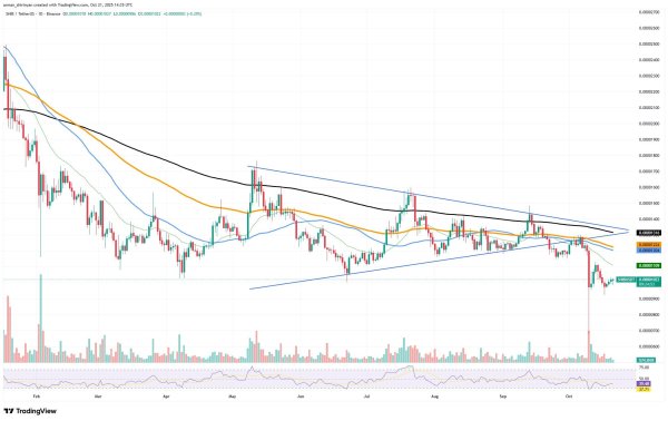 Crypto Market Prediction: XRP Switches From Bullish to Bearish, Shiba Inu's (SHIB) Evil Zero Is Back, Who Pushed Bitcoin (BTC) Down From $110,000?