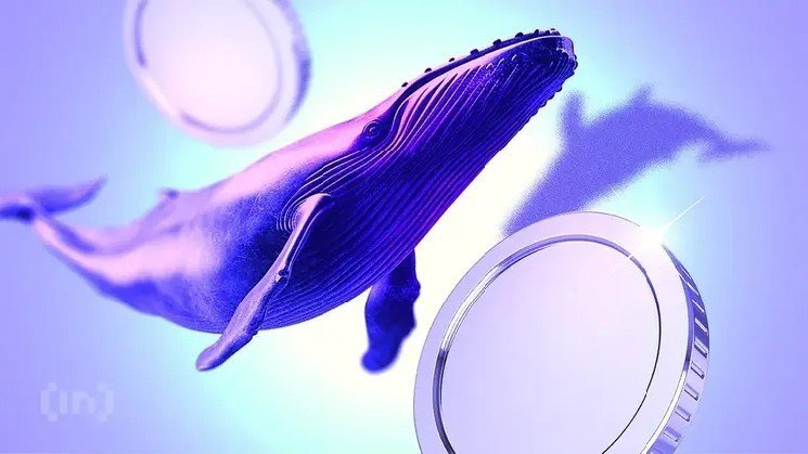 Ethereum Whales are Quietly Splashing Cash – Is Confidence Returning in ETH? Ethereum Whales are Quietly Splashing Cash – Is Confidence Returning in ETH?