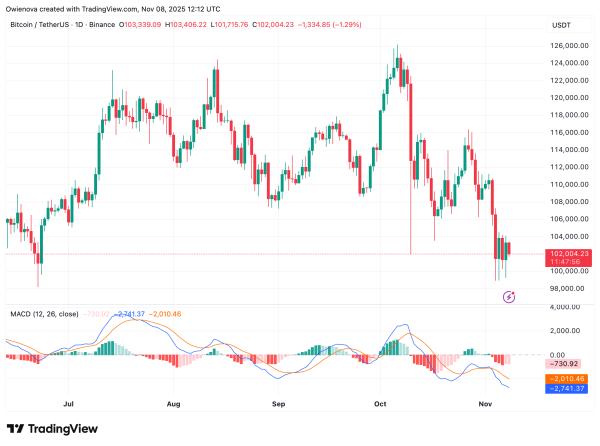 Bitcoin Bounces From $100,000 &mdash; Bullish Reversal Or Another Trap?