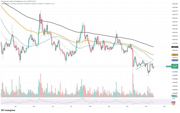 Crypto Market Prediction: Is Shiba Inu (SHIB) Bull Market Starting? XRP Downtrend Canceled on ETF Craze, Bitcoin (BTC) Loses $1.63 Billion, But Price Bounces