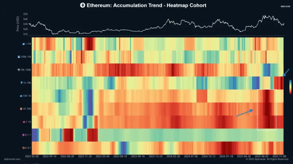 Ethereum Price Signals Bearish Reversal as 1K&ndash;10K ETH Wallets Keep Selling