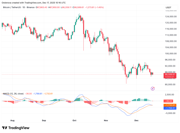 Bitcoin’s Make-or-Break Phase Begins: Weekly Support Holds, Momentum Fades Bitcoin’s Make-or-Break Phase Begins: Weekly Support Holds, Momentum Fades