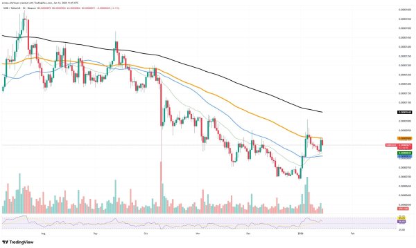 Mind-Blowing 652,000,000,000 Shiba Inu (SHIB) in 24 Hours: What Was That?