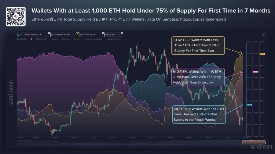 Ethereum Price News as Big Holders Reduce ETH Supply Control