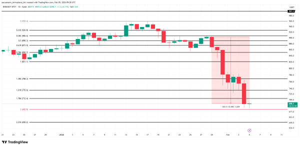 BNB Price Hits 7-Month Low&mdash;Will 1 Million New Addresses Spark a Rebound?