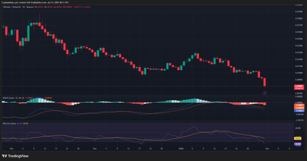 VeChain price prediction 2026-2032: What&rsquo;s the growth potential of VET?