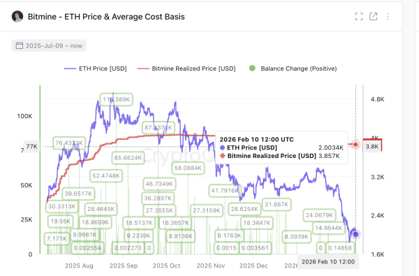 Tom Lee&rsquo;s BitMine (BMNR) Stock Faces Cost-Basis Risk &mdash; Price Breakdown at 10%?