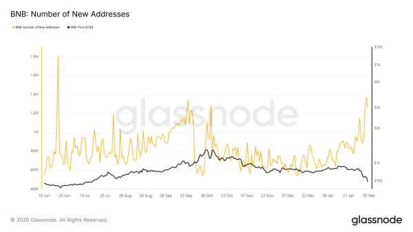 BNB Price Hits 7-Month Low&mdash;Will 1 Million New Addresses Spark a Rebound?