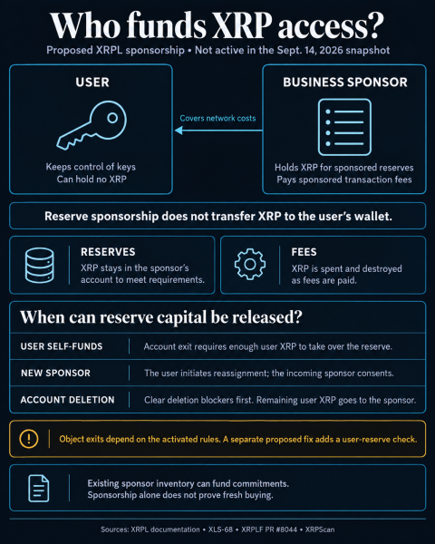 A new XRPL upgrade could concentrate XRP ownership inside banks instead of retail wallets